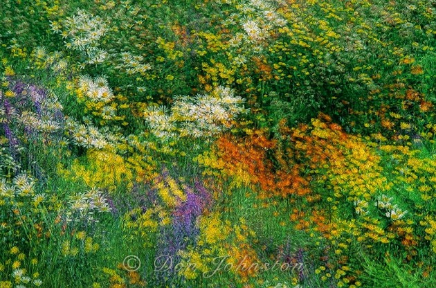 Summer wildflowers Multiple exposure- Oil Paint Filter