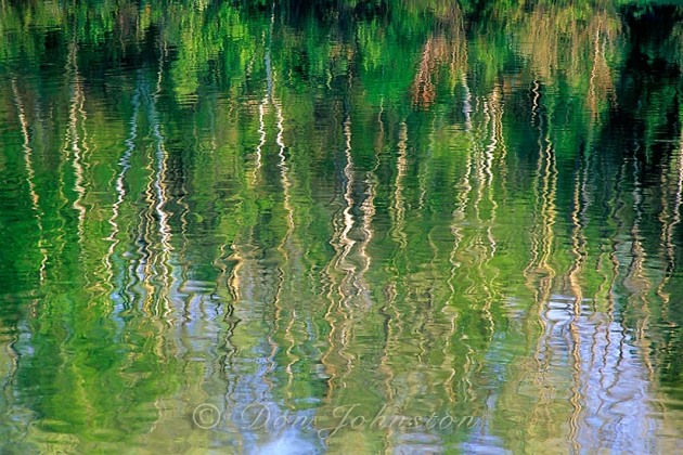 Spring reflections