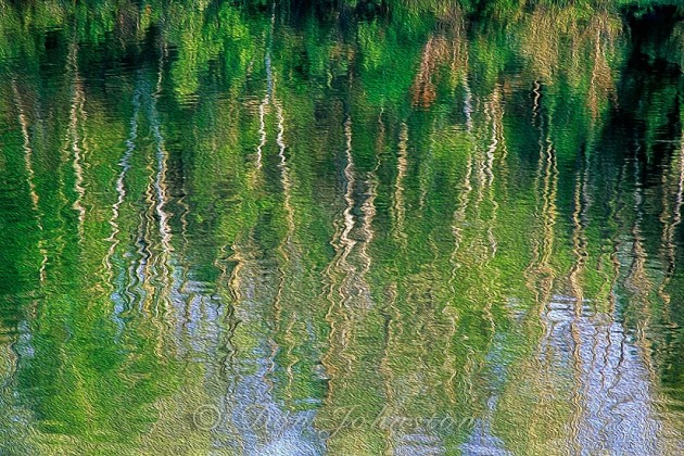 Spring reflections, Oil Paint Filter