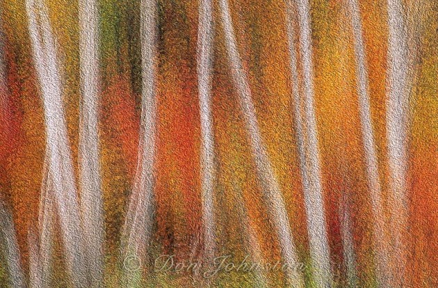 Autumn forest, multiple exposure, Oil Paint filter