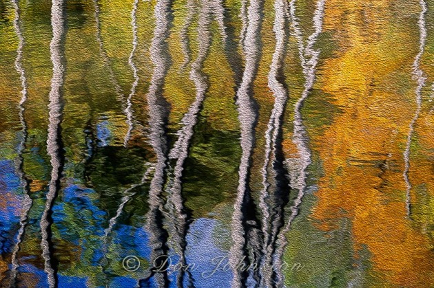 Autumn reflections, Oil Paint filter