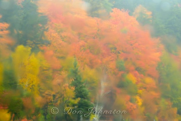 Autumn trees as seen through a rain-soaked window. ⅛ s @ f16 ISO 800
